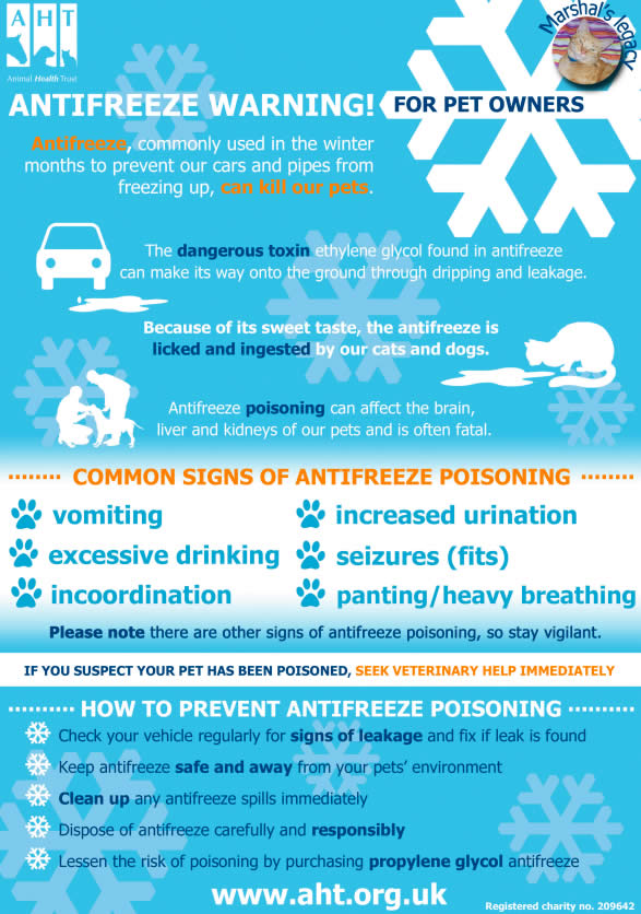 Signs of antifreeze poisoning