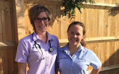 Welcome to our 2 new vets at Bicester Vets