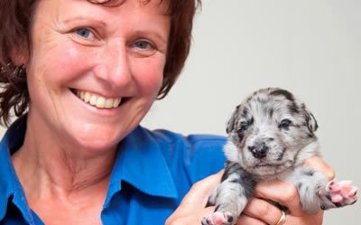 Dottie’s Pups Have Certainly Grown Up