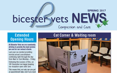 Latest Spring Newsletter