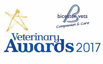 6 Nominations at Bicester Vets