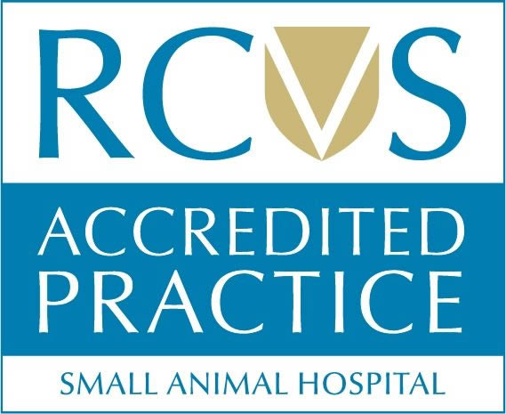 RCVS accreditation at Bicester Vets