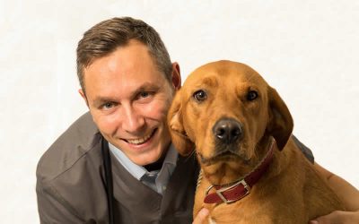 New Eye Specialist Services at Bicester Vets