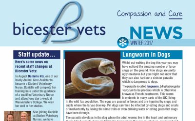 Our Winter Newsletter