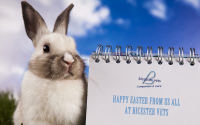 Our Easter Opening Times