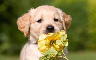 Spring is around the corner