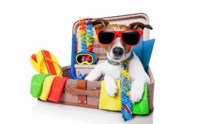 Travelling Pets