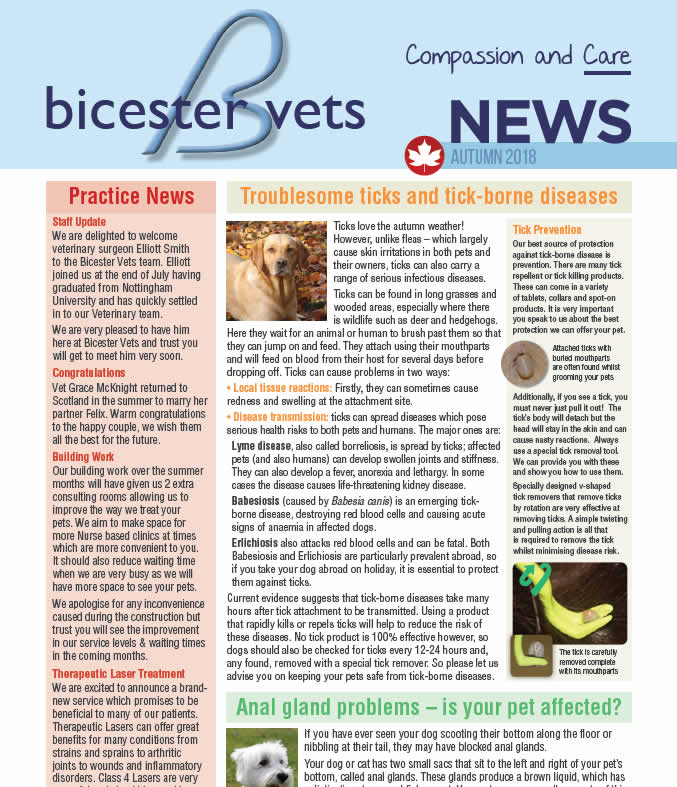Autumn newsletter at Bicester vets