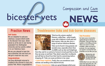 Autumn Newsletter