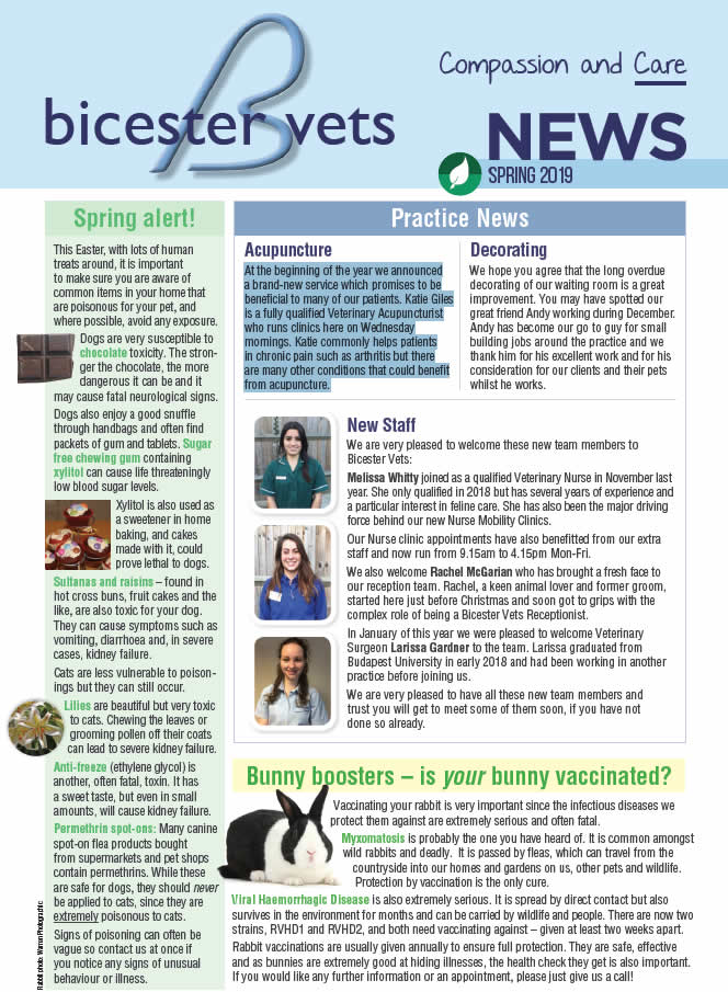 Spring newsletter at Bicester vets
