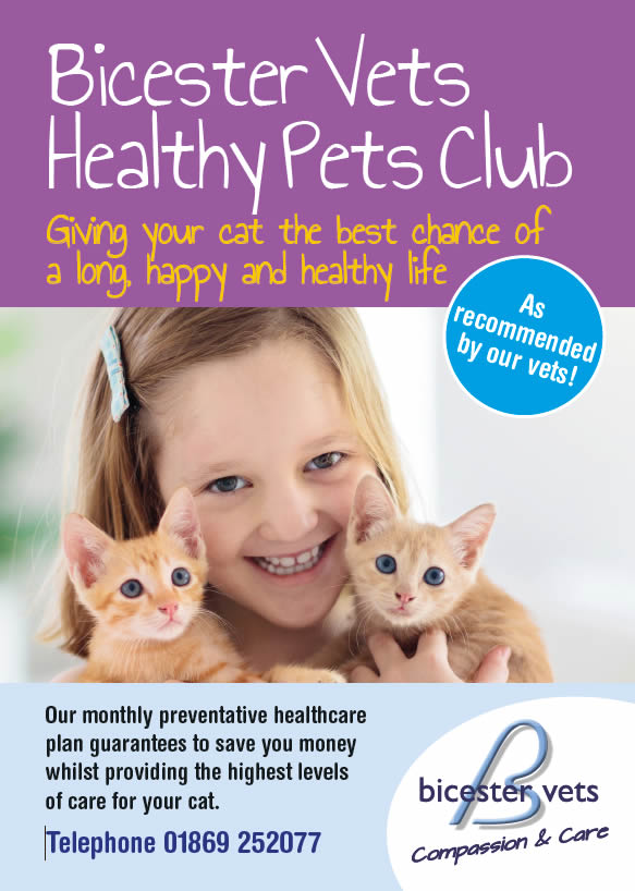 healthy pets cats plan bicester vets
