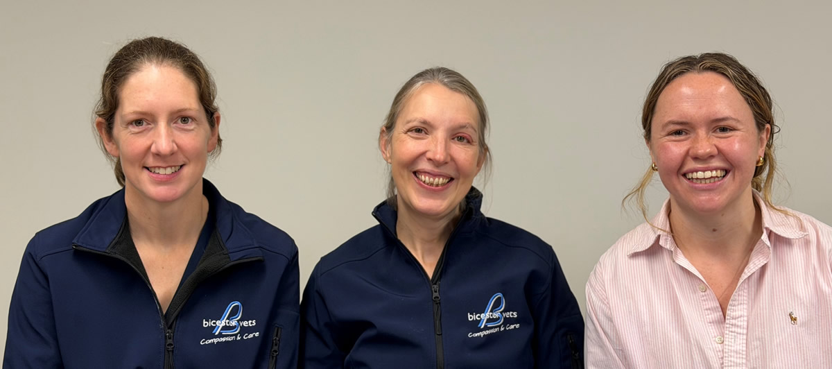 Exciting News – Bicester Vets Is Now Employee-Owned! Exciting News – Bicester Vets Is Now Employee-Owned!