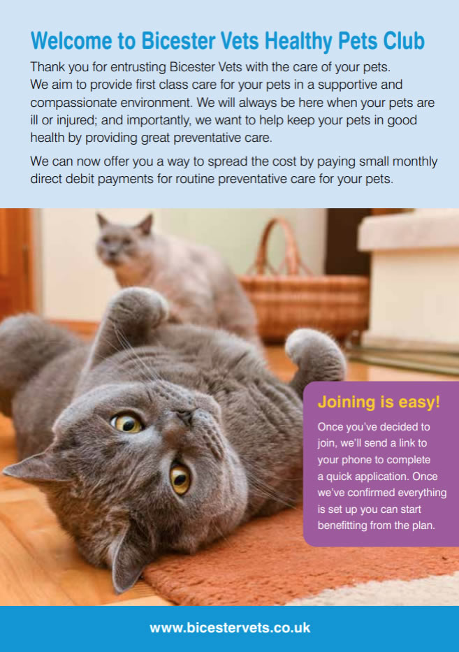 healthy pets rabbits plan bicester vets