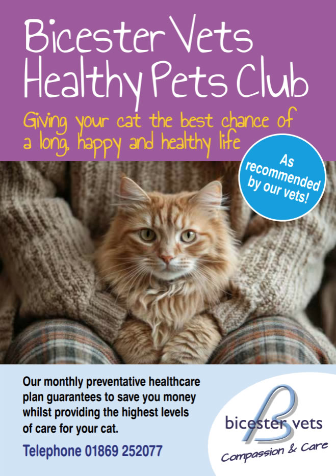 healthy pets cats plan bicester vets