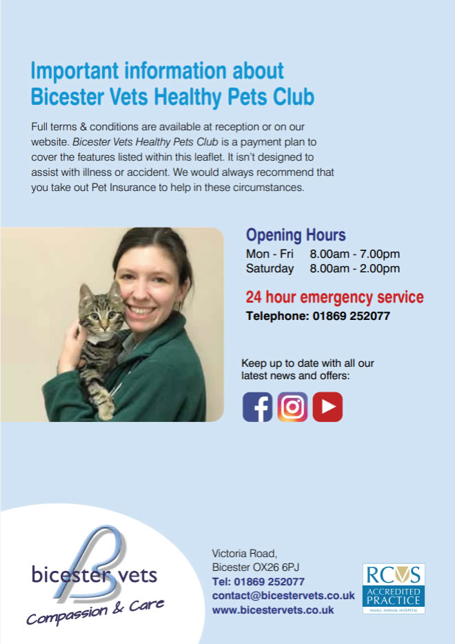 healthy pets rabbits plan bicester vets