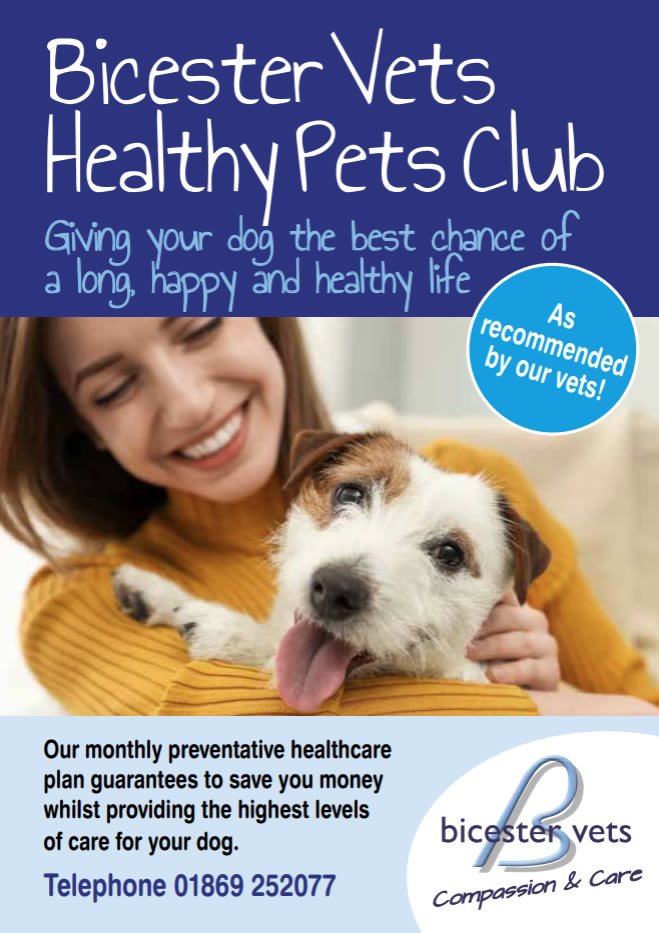 healthy pets cats plan bicester vets