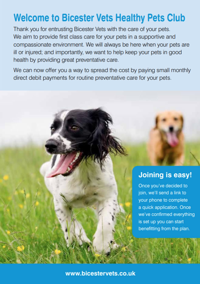 healthy pets rabbits plan bicester vets