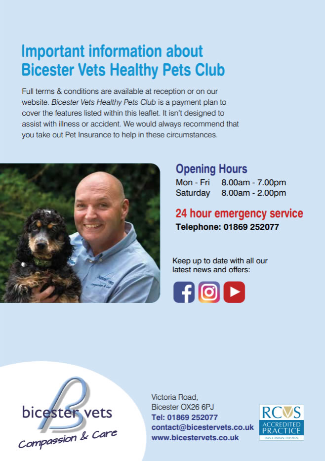 healthy pets rabbits plan bicester vets