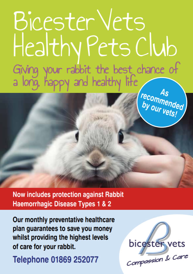 healthy pets cats plan bicester vets