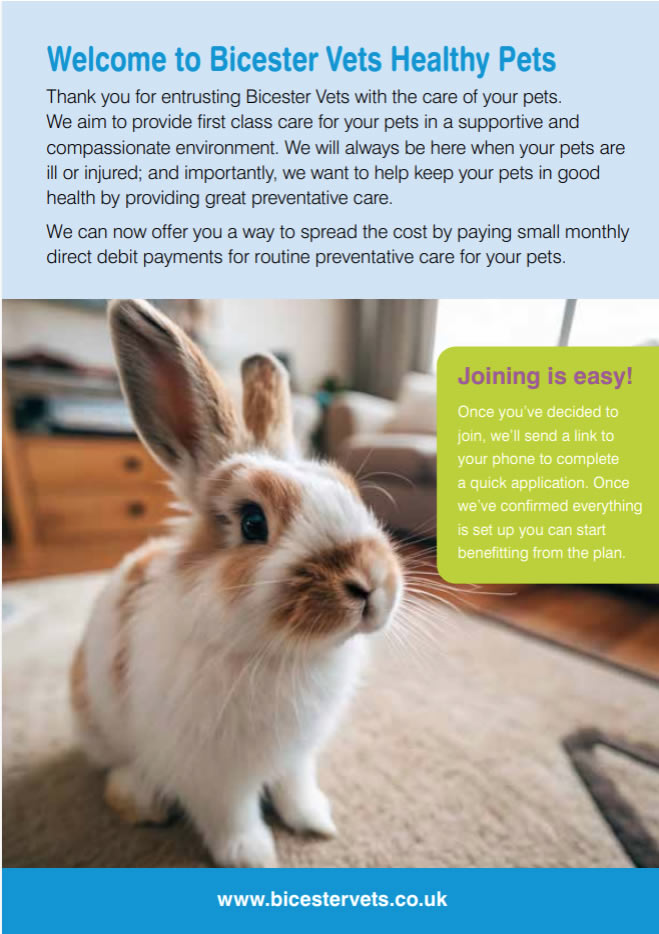 healthy pets rabbits plan bicester vets