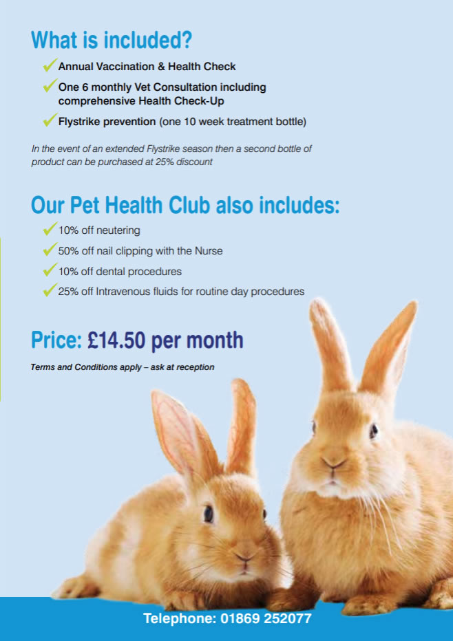 healthy pets cats plan bicester vets