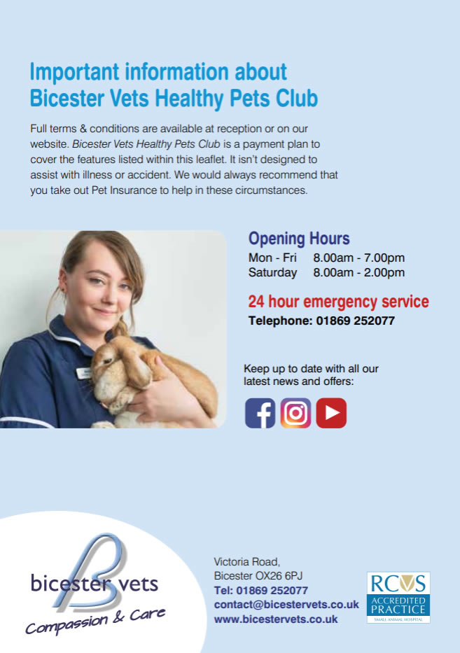 healthy pets rabbits plan bicester vets