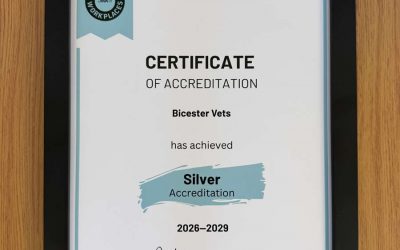 BVA Great Workplaces Accreditation